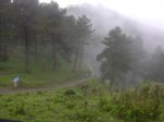DSC02506.jpg