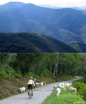 sheep%20hill%20tv[1].jpg