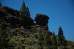 DSC_3766.jpg