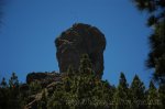 DSC_3732.jpg