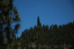 DSC_3734.jpg