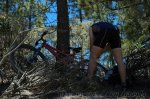 DSC_3740.jpg