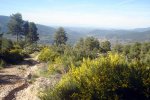 DSC03897.jpg