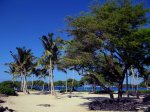 all%20hawaiian%20beaches%2322f21[1].jpg