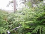 2009-06-07 17-19-30-11405_redimensionar.JPG