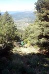 DSC03917.jpg