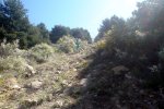 DSC03918.jpg