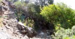 Panorama 3.JPG