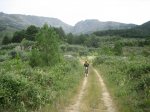 IMG_3975.jpg