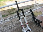 IMG_3711.jpg