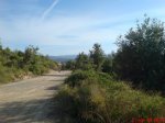 DSC00176.jpg