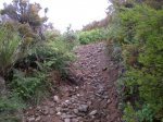 TURO-CABRETA 21-6-2009 009.jpg