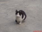 DSC00067.jpg