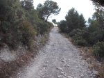 DSCF4009.JPG
