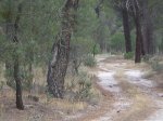 camino de Madrid 2009 033.jpg