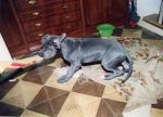 54118 Renedo2.jpg