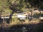 DSCF4374.JPG