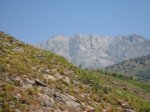 IMG_2042.jpg