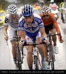 tdf09st13-tree[1].jpg