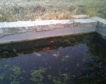 Imagen045.jpg