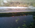 Imagen052.jpg