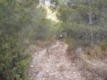 DSCF5063.JPG