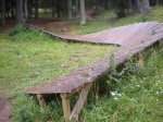 DSCN1767.jpg