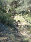 DSC09095.jpg