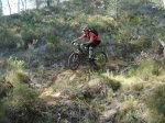 DSC09093.jpg