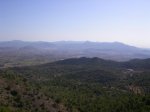 SANY0009.jpg