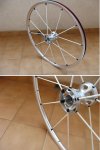 polish spinergys.JPG