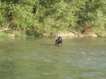 DSCF0295.jpg