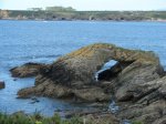 DSC01838.jpg
