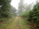 DSC01865.jpg