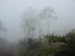 DSC01964.jpg
