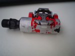 dsc01331.jpg