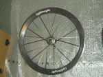carbon_sports_rear.jpg