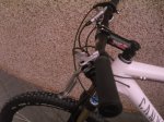2009-08-26 18-53-4011871_redimensionar.JPG