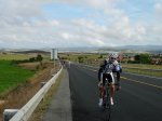 Patatera01_40.JPG