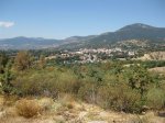 IMG_0879.jpg
