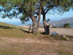 verano 2009 022.jpg