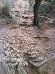 DSC00066.jpg