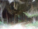 DSC00016.jpg