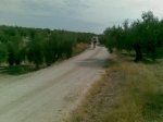 Imagen1104.jpg