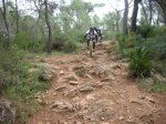 trial sierro.jpg
