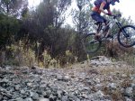 20092009_006_3.jpg
