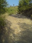 DSC03316.JPG