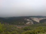 DSC01390.jpg