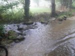 DSC01005.jpg