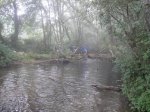 DSC01016.jpg